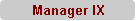 Manager IX